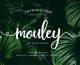 01 - Mouley Script Free Font