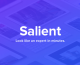 11 - Salient Responsive Multi Purpose Theme