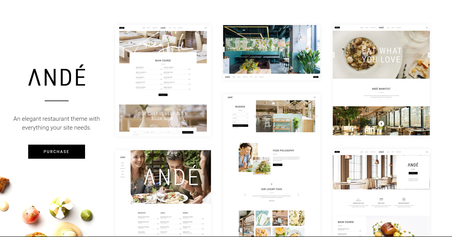 WordPress Theme