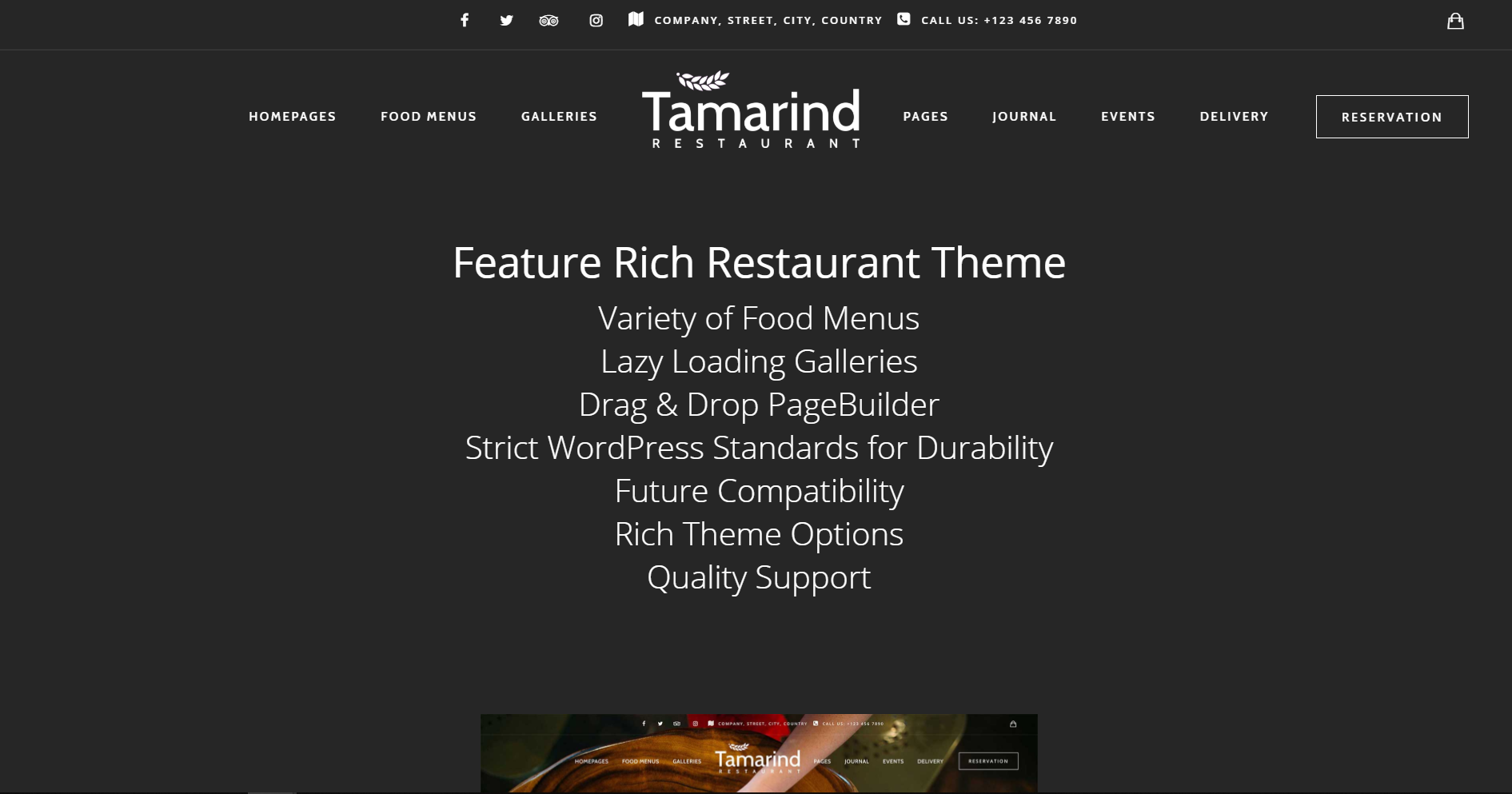 WordPress Theme