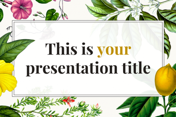 Constance Presentation Template