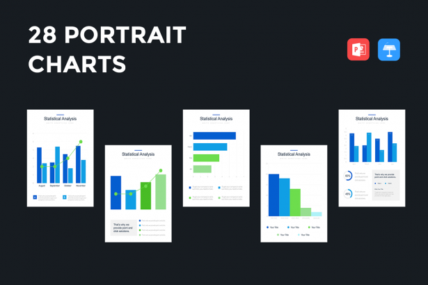 Professional Portrait Bar Charts