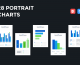 Professional Portrait Bar Charts